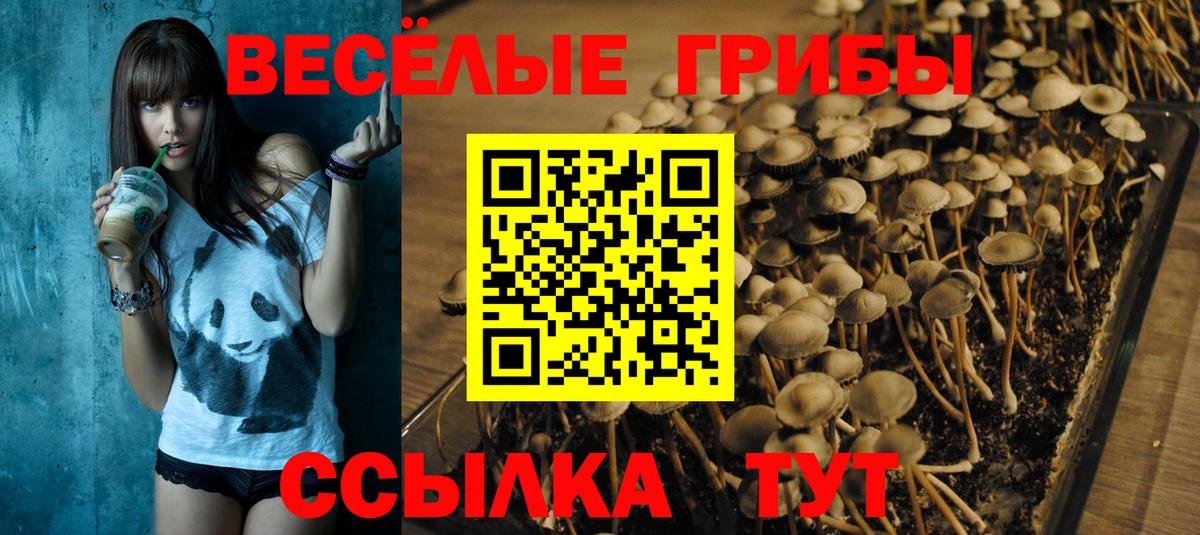 Псилоцибиновые грибы MAGIC MUSHROOMS  наркошоп  Вход с VPN  Тольятти  Псилоцибиновые грибы Magic Shrooms 